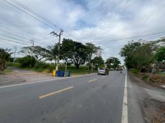 ขายที่ดินเปล่า เนื้อที่ 16 ไร่ 1 งาน 36.8 ตร.วา ท่าซัก นครศรีธรรมราช-202511211436061763710566799.jpg