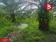 ขายที่ดินเปล่า เนื้อที่ 16 ไร่ 1 งาน 36.8 ตร.วา ท่าซัก นครศรีธรรมราช-202511211436071763710567363.jpg