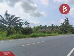 ขายที่ดินเปล่า เนื้อที่ 16 ไร่ 1 งาน 36.8 ตร.วา ท่าซัก นครศรีธรรมราช-202511211436071763710567928.jpg