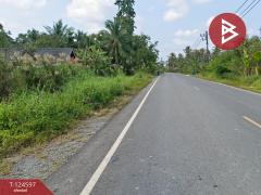 ขายที่ดินเปล่า เนื้อที่ 16 ไร่ 1 งาน 36.8 ตร.วา ท่าซัก นครศรีธรรมราช-202511211436091763710569039.jpg