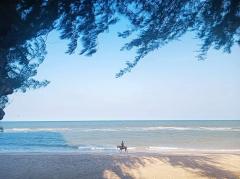 Sandy Beach Condo แซนดี้ บีช คอนโด ติดหาดชะอำ (หาดส่วนตัว) ห้องใหญ่ 72 ตารางเมตร ชั้น15 วิวทะเล 180 องศา ตกแต่งพร้อมอยู่ได้ทันที-202511211456391763711799530.jpg