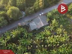  ขายบ้านเดี่ยวพร้อมที่ดิน เนื้อที่ 2 งาน 4 ตร.วา บ้านยาง นครปฐม-202511211530491763713849741.jpg