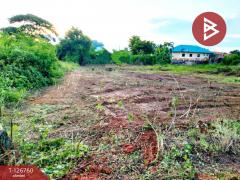 ขายที่ดิน เนื้อที่ 2 งาน ปราณบุรี ประจวบคีรีขันธ์-202511211614101763716450922.jpg