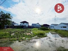 ขายที่ดิน เนื้อที่ 1 ไร่ 31.3 ตร.วา สามควายเผือก นครปฐม-202511211709341763719774155.jpg