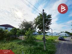 ขายที่ดิน เนื้อที่ 1 ไร่ 31.3 ตร.วา สามควายเผือก นครปฐม-202511211709341763719774696.jpg