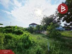 ขายที่ดิน เนื้อที่ 1 ไร่ 31.3 ตร.วา สามควายเผือก นครปฐม-202511211709351763719775231.jpg