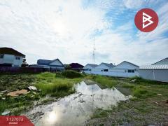 ขายที่ดิน เนื้อที่ 1 ไร่ 31.3 ตร.วา สามควายเผือก นครปฐม-202511211709351763719775768.jpg