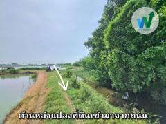 ขาย ที่ดิน 1ไร่ 3 งาน 65.8 ตารางวา บางปะกง ฉะเชิงเทรา ใกล้วัดบางพลีน้อย-202511211720501763720450040.jpg