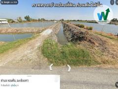 ขาย ที่ดิน 1ไร่ 3 งาน 65.8 ตารางวา บางปะกง ฉะเชิงเทรา ใกล้วัดบางพลีน้อย-202511211720501763720450543.jpg