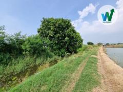 ขาย ที่ดิน 1ไร่ 3 งาน 65.8 ตารางวา บางปะกง ฉะเชิงเทรา ใกล้วัดบางพลีน้อย-202511211720521763720452553.jpg