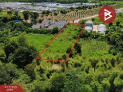 ขายที่ดิน เนื้อที่ 2 ไร่ ศรีมหาโพธิ ปราจีนบุรี-202511211722511763720571651.jpg