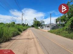 ขายที่ดิน เนื้อที่ 2 ไร่ ศรีมหาโพธิ ปราจีนบุรี-202511211722521763720572211.jpg