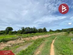 ขายที่ดิน เนื้อที่ 2 ไร่ 36 ตารางวา รัตภูมิ สงขลา-202511211725071763720707300.jpg