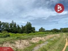 ขายที่ดิน เนื้อที่ 2 ไร่ 36 ตารางวา รัตภูมิ สงขลา-202511211725071763720707917.jpg