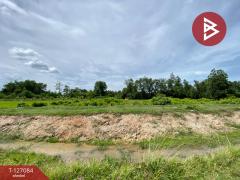 ขายที่ดิน เนื้อที่ 2 ไร่ 36 ตารางวา รัตภูมิ สงขลา-202511211725081763720708477.jpg