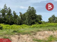 ขายที่ดิน เนื้อที่ 2 ไร่ 36 ตารางวา รัตภูมิ สงขลา-202511211725091763720709637.jpg