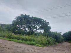 ขายที่ดิน-ต.สุเทพ-อ.เมืองเชียงใหม่-พ