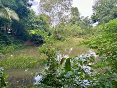 ขายบ้านสวน ฉะเชิงเทรา 3ไร่ อำเภอพนมสารคาม จังหวัดฉะเชิงเทรา-202511212129041763735344374.jpeg