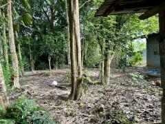 ขายบ้านสวน ฉะเชิงเทรา 3ไร่ อำเภอพนมสารคาม จังหวัดฉะเชิงเทรา-202511212129061763735346735.jpeg