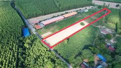 ขายที่ดิน ฉะเชิงเทรา 6-1-72 ไร่ พนมสารคาม ฉะเชิงเทรา ใกล้ถนน 331