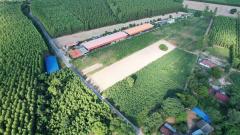 ขายที่ดิน ฉะเชิงเทรา 6-1-72 ไร่ พนมสารคาม ฉะเชิงเทรา ใกล้ถนน 331-202511212153051763736785962.jpeg