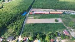 ขายที่ดิน ฉะเชิงเทรา 6-1-72 ไร่ พนมสารคาม ฉะเชิงเทรา ใกล้ถนน 331-202511212153071763736787548.jpeg