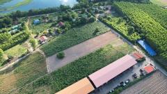 ขายที่ดิน ฉะเชิงเทรา 6-1-72 ไร่ พนมสารคาม ฉะเชิงเทรา ใกล้ถนน 331-202511212153081763736788068.jpeg