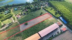 ขายที่ดิน ฉะเชิงเทรา 6-1-72 ไร่ พนมสารคาม ฉะเชิงเทรา ใกล้ถนน 331-202511212153091763736789109.jpeg