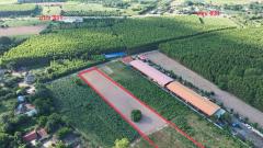 ขายที่ดิน ฉะเชิงเทรา 6-1-72 ไร่ พนมสารคาม ฉะเชิงเทรา ใกล้ถนน 331-202511212153091763736789633.jpeg