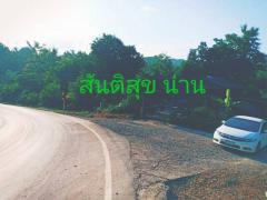 หนาวนี้ดูซื้อทรัพย์เล็งขาย ขายที่ดินติดลำธารน้ำใสไหลริน ชุ่มฉ่ำตลอดปี สวยวิวล้าน 800000บาท 3-0-35ไร่ อำเภอสันติสุข น่าน