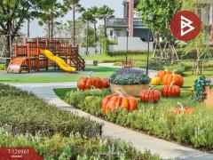 ขายบ้านเดี่ยว หมู่บ้านวิลลาจจิโอ พระราม2 (Villaggio Rama2) สมุทรสาคร-202511220059511763747991557.jpg