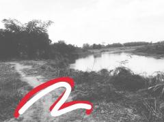 หนาวนี้ดูซื้อทรัพย์เล็งขาย ขายที่สวยติดแม่น้ำน่าน ชุมแสง  จ.นครสวรรค์ 300000 บาท.วิวแม่น้ำเกษตรดีงามสวยสมบูรณ์