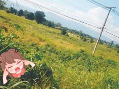 หนาวนี้ดูซื้อทรัพย์เล็งขาย เมืองบ้านตากจังหวัดตาก  3-1-40 ไร่ ติดถนนเอเซีย AH1 ติดถนนพหลโยธิน ไร่ 3ลบ. โทร 096-8821857