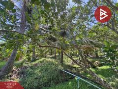 ขายที่ดิน เนื้อที่ 2 ไร่ 1 งาน 74.2 ตารางวา อ.อัมพวา สมุทรสงคราม