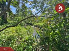 ขายที่ดิน เนื้อที่ 2 ไร่ 1 งาน 74.2 ตารางวา อ.อัมพวา สมุทรสงคราม-202511220334471763757287165.jpg