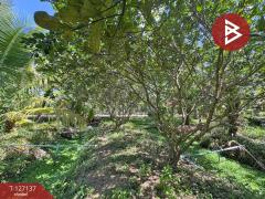 ขายที่ดิน เนื้อที่ 2 ไร่ 1 งาน 74.2 ตารางวา อ.อัมพวา สมุทรสงคราม-202511220334471763757287726.jpg