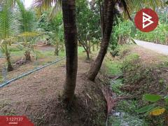 ขายที่ดิน เนื้อที่ 2 ไร่ 1 งาน 74.2 ตารางวา อ.อัมพวา สมุทรสงคราม-202511220334481763757288279.jpg