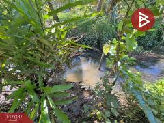 ขายที่ดิน เนื้อที่ 2 ไร่ 1 งาน 74.2 ตารางวา อ.อัมพวา สมุทรสงคราม-202511220334491763757289720.jpg