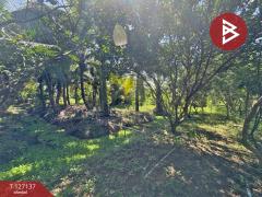 ขายที่ดิน เนื้อที่ 2 ไร่ 1 งาน 74.2 ตารางวา อ.อัมพวา สมุทรสงคราม-202511220334501763757290272.jpg