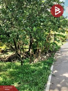 ขายที่ดิน เนื้อที่ 2 ไร่ 1 งาน 74.2 ตารางวา อ.อัมพวา สมุทรสงคราม-202511220334501763757290821.jpg