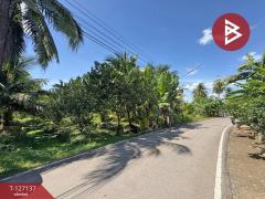 ขายที่ดิน เนื้อที่ 2 ไร่ 1 งาน 74.2 ตารางวา อ.อัมพวา สมุทรสงคราม-202511220334511763757291912.jpg