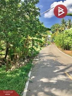 ขายที่ดิน เนื้อที่ 2 ไร่ 1 งาน 74.2 ตารางวา อ.อัมพวา สมุทรสงคราม-202511220334521763757292461.jpg