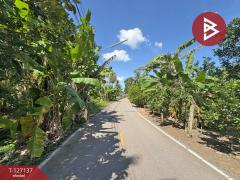 ขายที่ดิน เนื้อที่ 2 ไร่ 1 งาน 74.2 ตารางวา อ.อัมพวา สมุทรสงคราม-202511220334531763757293002.jpg