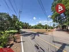 ขายที่ดิน เนื้อที่ 2 ไร่ 1 งาน 74.2 ตารางวา อ.อัมพวา สมุทรสงคราม-202511220334531763757293549.jpg