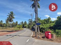 ขายที่ดิน เนื้อที่ 2 ไร่ 1 งาน 74.2 ตารางวา อ.อัมพวา สมุทรสงคราม-202511220334541763757294095.jpg