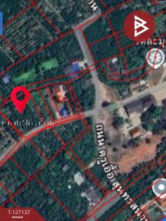 ขายที่ดิน เนื้อที่ 2 ไร่ 1 งาน 74.2 ตารางวา อ.อัมพวา สมุทรสงคราม-202511220334541763757294650.jpg