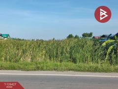 ขายที่ดินเปล่า 2 ไร่ ตำบลบางหลวง อำเภอบางเลน จังหวัดนครปฐม-202511221137571763786277508.jpg