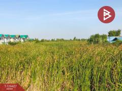 ขายที่ดินเปล่า 2 ไร่ ตำบลบางหลวง อำเภอบางเลน จังหวัดนครปฐม-202511221137581763786278649.jpg