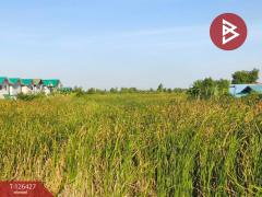 ขายที่ดินเปล่า 2 ไร่ ตำบลบางหลวง อำเภอบางเลน จังหวัดนครปฐม-202511221137591763786279216.jpg