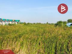 ขายที่ดินเปล่า 2 ไร่ ตำบลบางหลวง อำเภอบางเลน จังหวัดนครปฐม-202511221137591763786279791.jpg